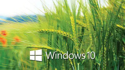 Windows 10 Wallpapers • TrumpWallpapers