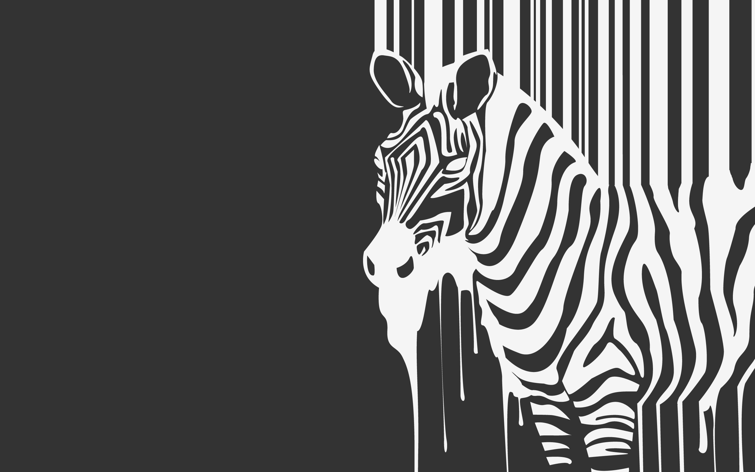 where can i buy zebra wallpaper